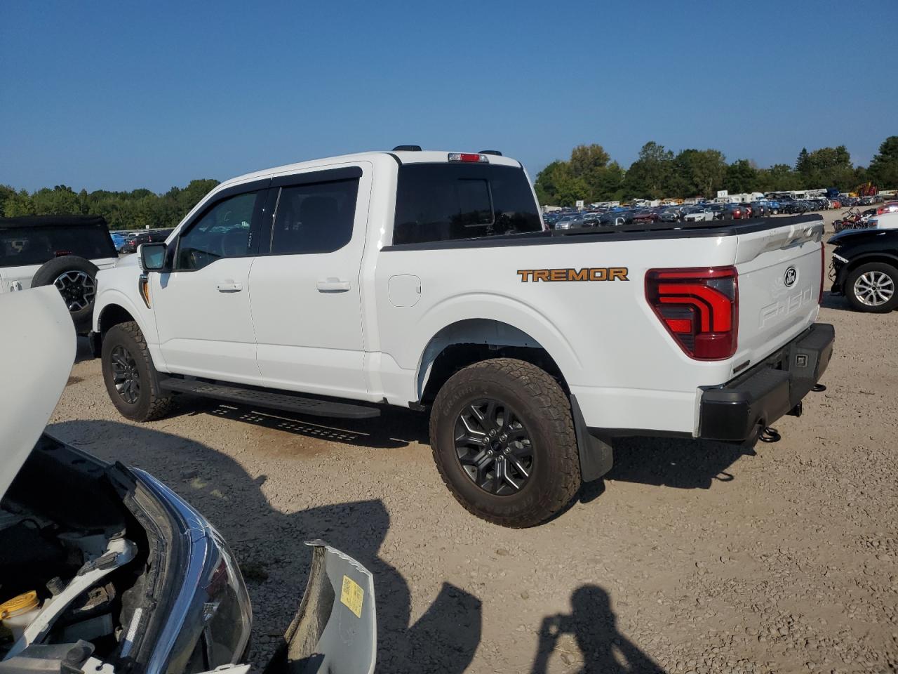 2024 FORD F150 TREMOR VIN:1FTFW4L82RFA68991