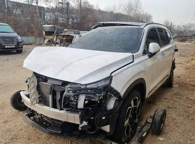 2021 Hyundai Santa FE KMHS381LGMU363549 VIN:KMHS381LGMU363549