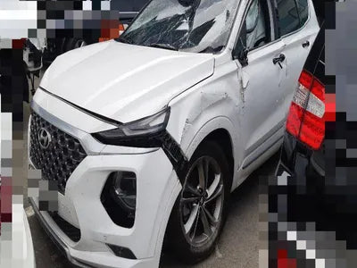 2019 Hyundai Santa FE KMHS581BBLU263475 VIN:KMHS581BBLU263475