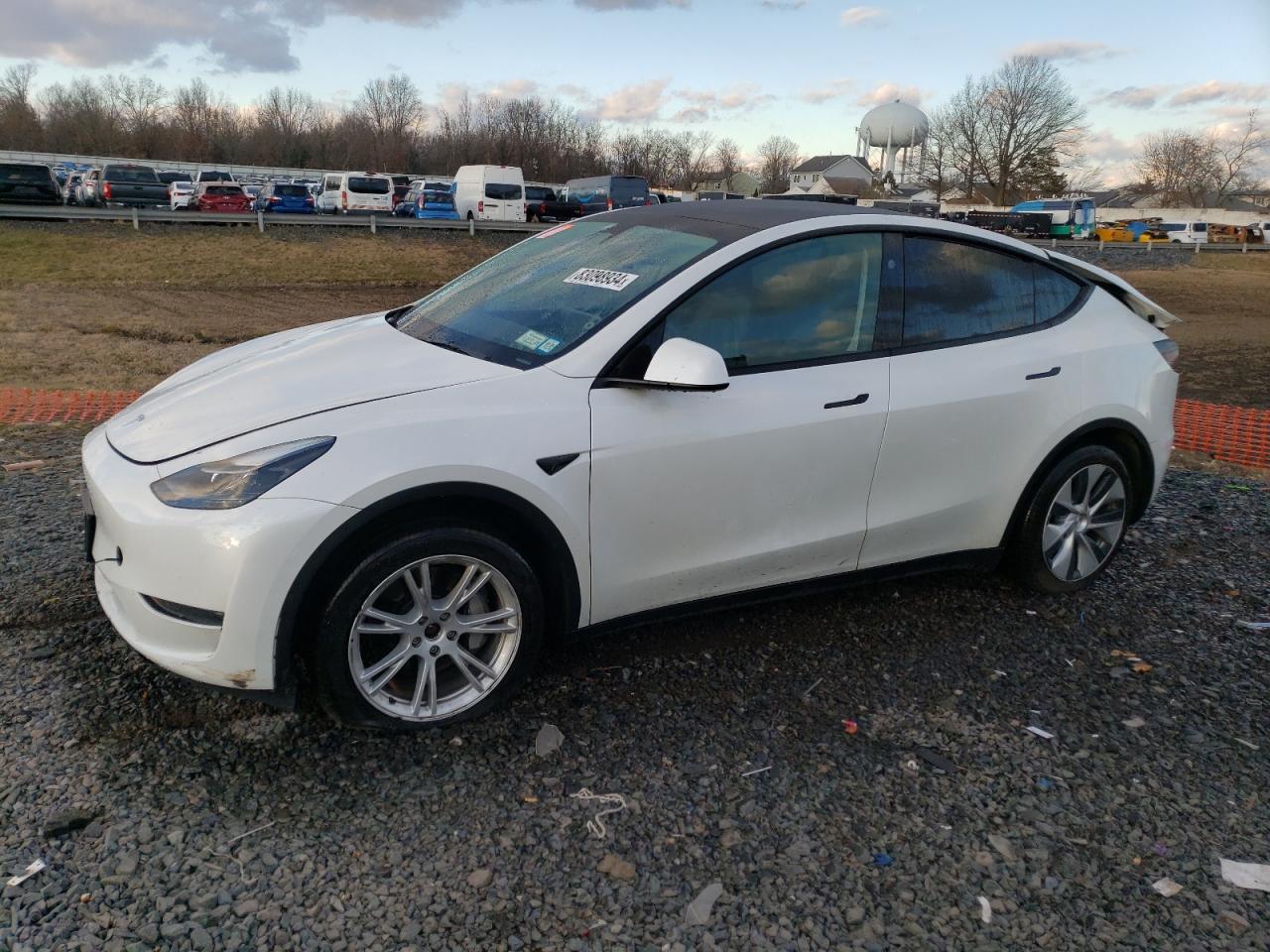 2023 TESLA MODEL Y  VIN:7SAYGDEE5PF823323
