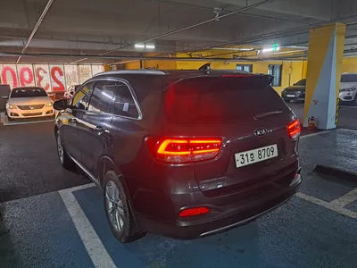 2017 Kia Sorento KNAPS81ABHA377305 VIN:KNAPS81ABHA377305