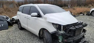 2019 Kia Carnival KNHMF37ABKS553933 VIN:KNHMF37ABKS553933