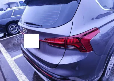 2021 Hyundai Santa FE KMHS381HGMU343713 VIN:KMHS381HGMU343713