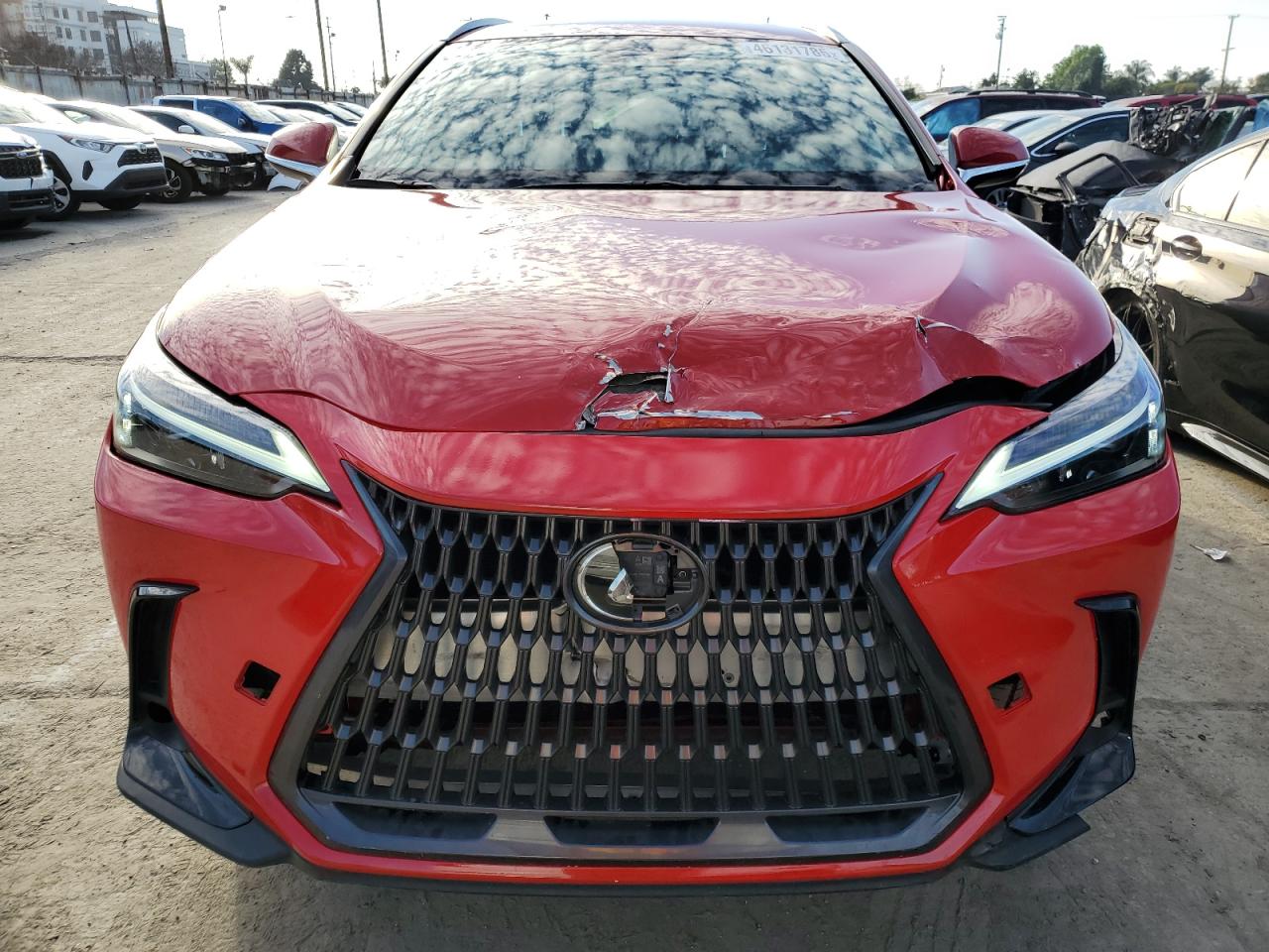 2024 LEXUS NX 250 BASE VIN:2T2ADCAZ3RC006672