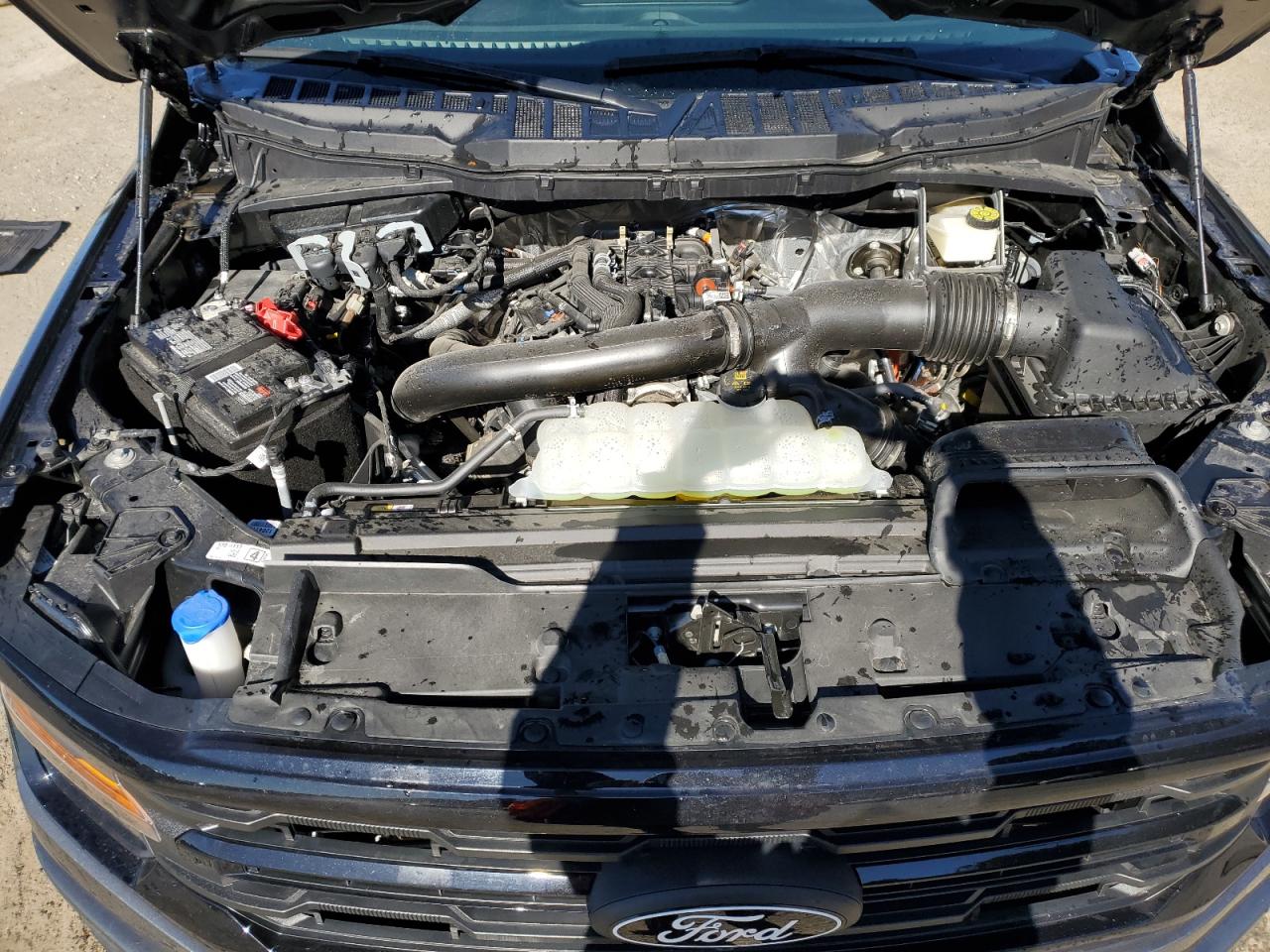 2024 FORD F150 XLT VIN:1FTFW3L8XRKD99187