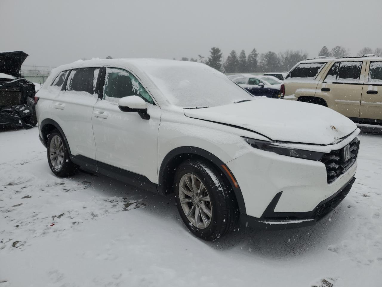 2023 HONDA CR-V EXL VIN:2HKRS4H72PH404697