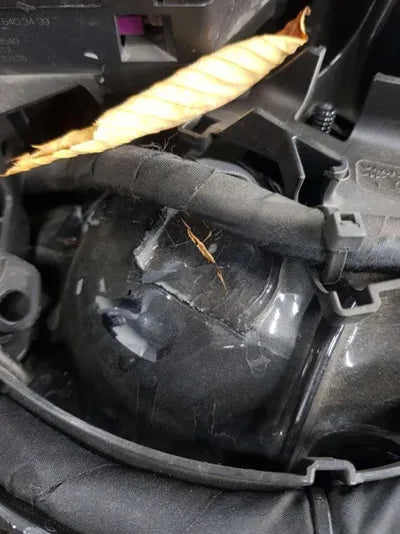 2022 Mercedes-Benz E 350 W1KZF8GB8NB053980 VIN:W1KZF8GB8NB053980