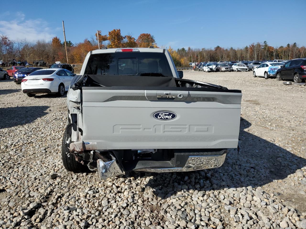 2024 FORD F150 XLT VIN:1FTFW3L53RKD07729