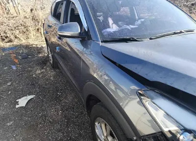 2017 Hyundai Tucson KMHJ3815GHU348229 VIN:KMHJ3815GHU348229