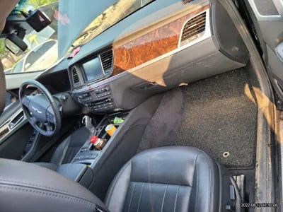 2016 acupuncture nessis 3.3 VIN: