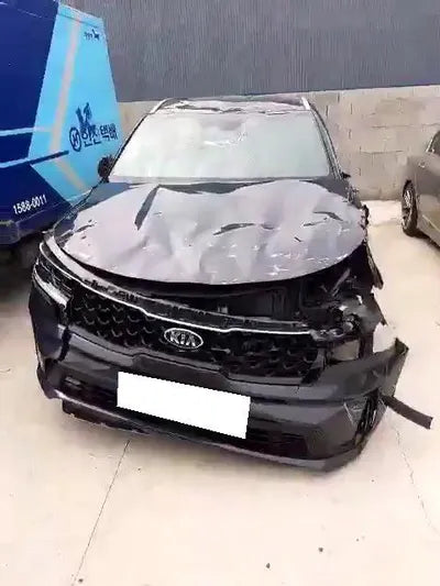 2020 Kia Sorento KNARH81BGMA053875 VIN:KNARH81BGMA053875
