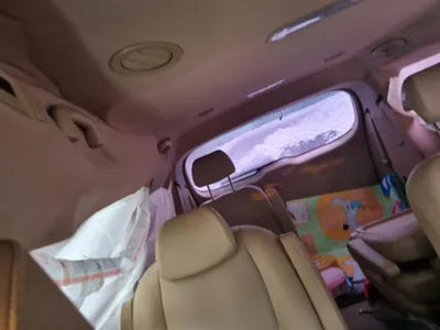 2019 Kia Carnival KNAMC81ABKS594437 VIN:KNAMC81ABKS594437