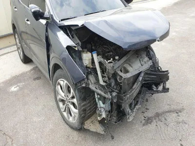 2015 Hyundai Santa FE KMHSW81XDFU418422 VIN:KMHSW81XDFU418422