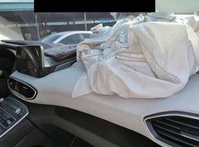 2021 Hyundai Santa FE KMHS581HGMU312114 VIN:KMHS581HGMU312114