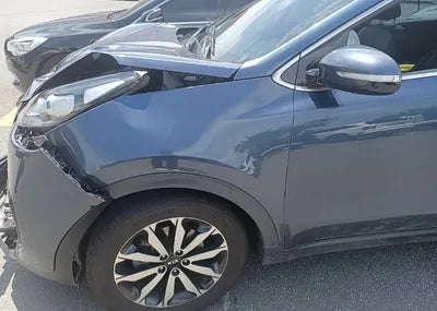 2016 Kia Sportage KNAPN813DGK005355 VIN:KNAPN813DGK005355