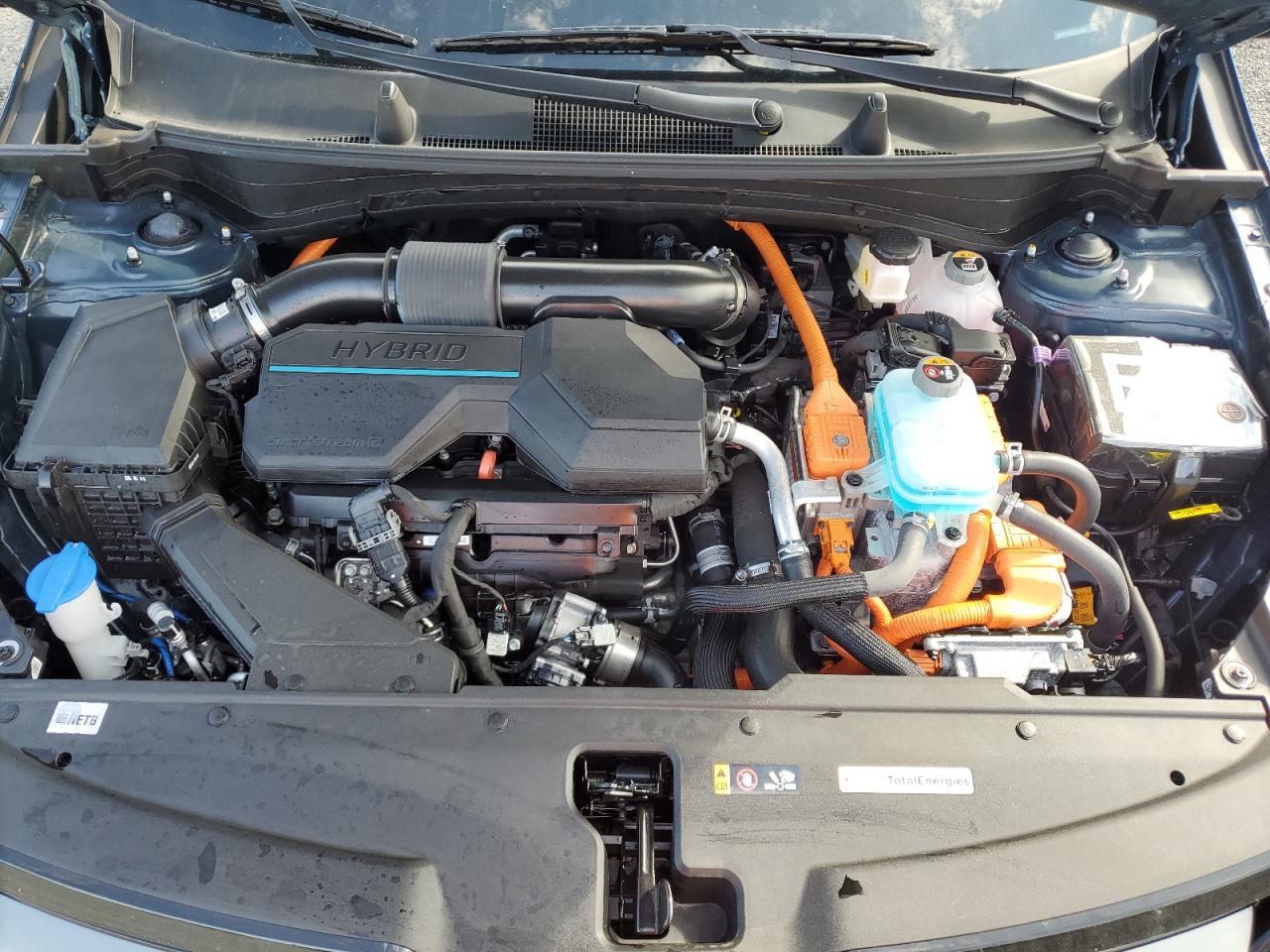 2024 KIA SPORTAGE X LINE VIN:KNDPYDDH8R7168231