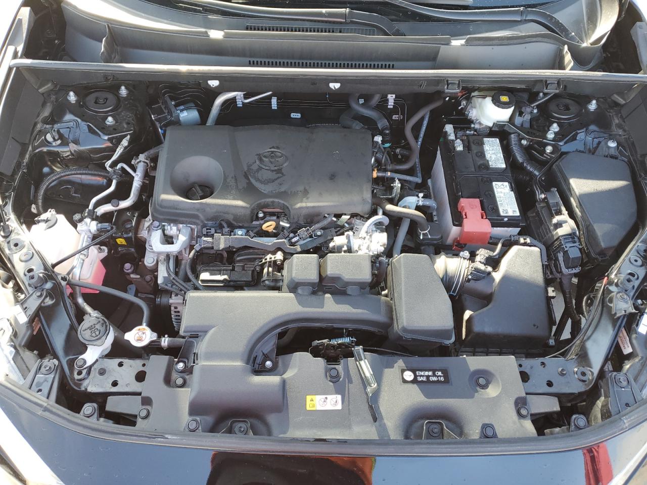 2024 TOYOTA RAV4 XLE VIN:2T3W1RFV3RC257694