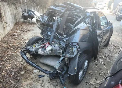 2020 Hyundai Kona KMHK4815GLU450978 VIN:KMHK4815GLU450978