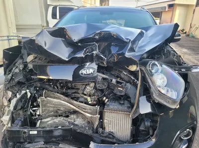 2017 Kia Sportage KNAPM813DHK239124 VIN:KNAPM813DHK239124