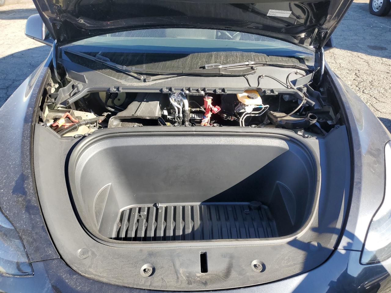 2024 TESLA MODEL Y  VIN:7SAYGDEE1RF060770