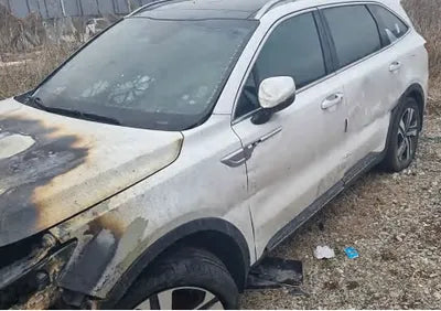 2021 Kia Sorento KNARH81GBMA021079 VIN:KNARH81GBMA021079