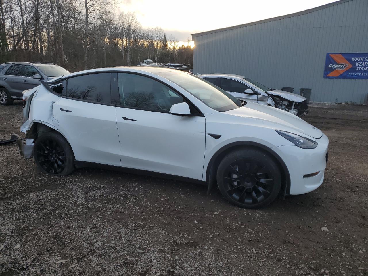 2022 TESLA MODEL Y  VIN:7SAYGAEE3NF514817