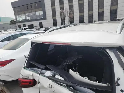 2020 Mercedes-Benz B 250 W1N4M4HB8LW055809 VIN:W1N4M4HB8LW055809