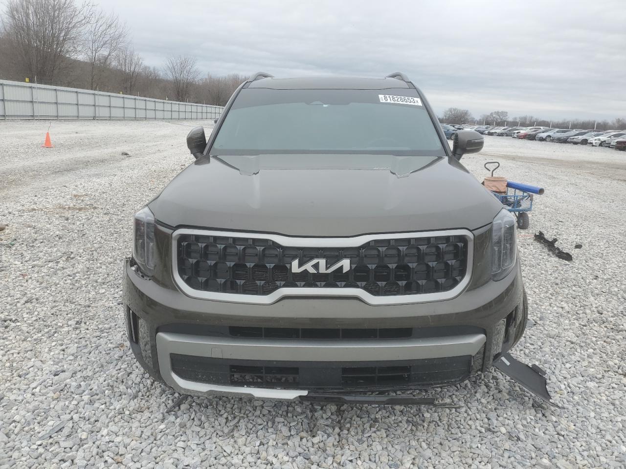 2023 KIA TELLURIDE EX VIN:5XYP3DGC4PG396502