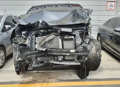2019 Kia Carnival KNAMC81ABLS638749 VIN:KNAMC81ABLS638749