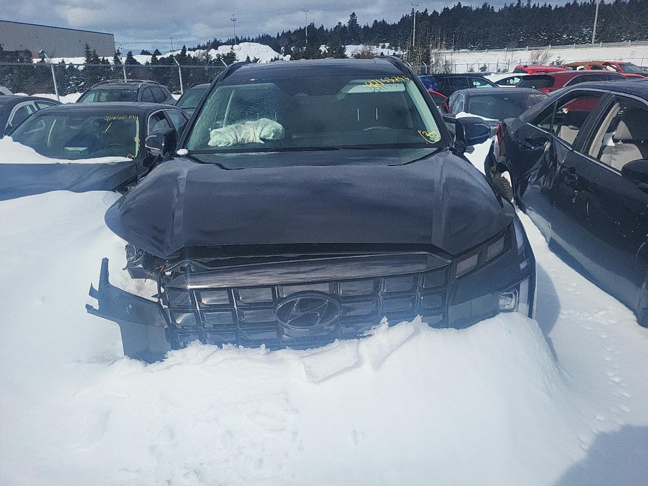 2024 HYUNDAI PALISADE XRT VIN:KM8R3DGE5RU791277