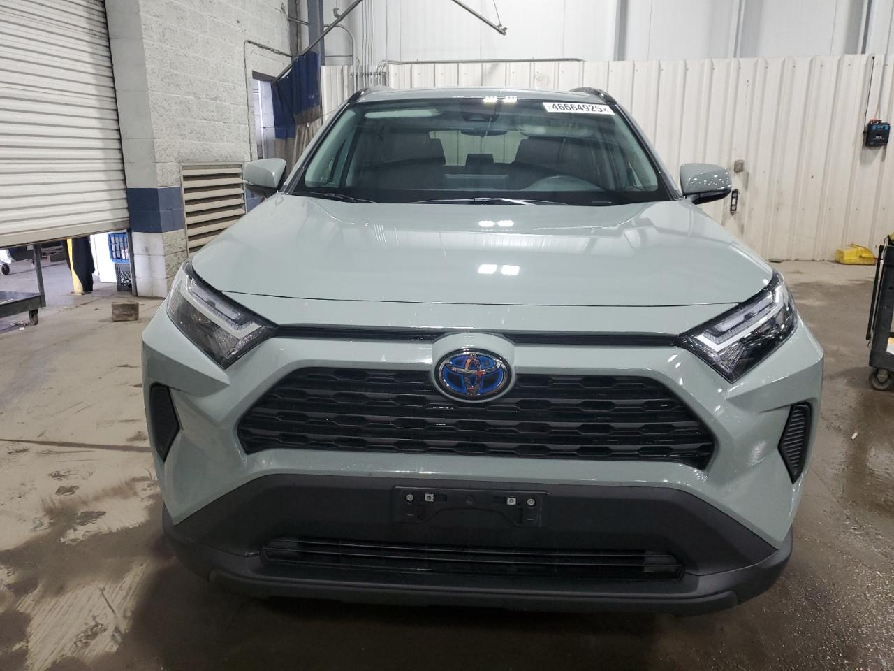 2023 TOYOTA RAV4 XLE VIN:4T3RWRFV7PU094526