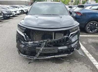 2021 Kia Sorento KNARJ81GDMA034439 VIN:KNARJ81GDMA034439