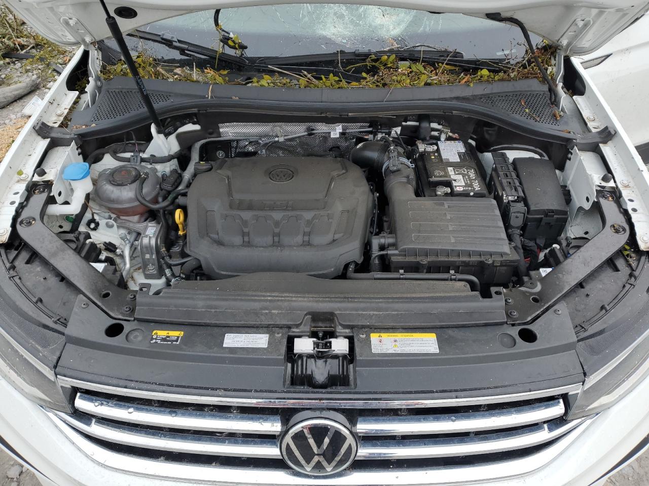 2024 VOLKSWAGEN TIGUAN SE VIN:3VVNB7AX8RM013904