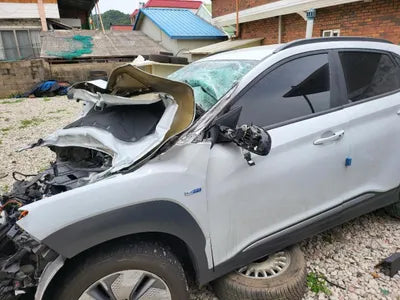 2019 Hyundai Kona KMHK381GFKU047821 VIN:KMHK381GFKU047821