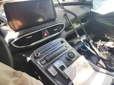 2021 Hyundai Santa FE KMHS381HGMU344096 VIN:KMHS381HGMU344096