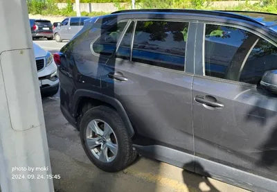 2019 Toyota RAV4 VIN: