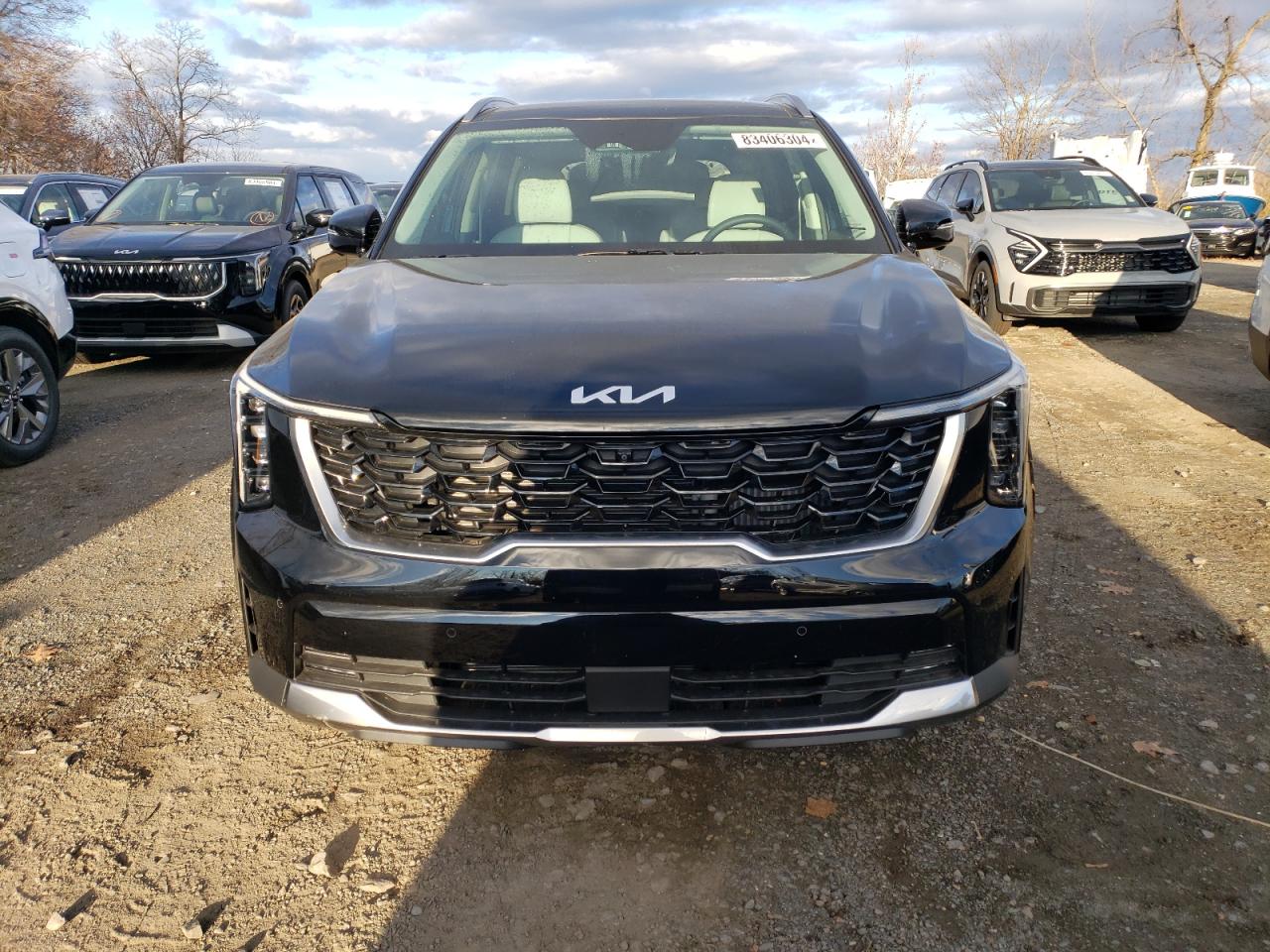 2024 KIA SORENTO SX VIN:5XYRK4JF6RG288349