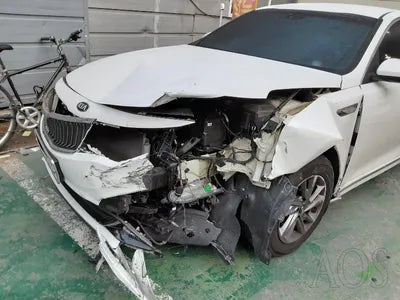 2019 Kia K5 KNAGS416BKA287619 VIN:KNAGS416BKA287619