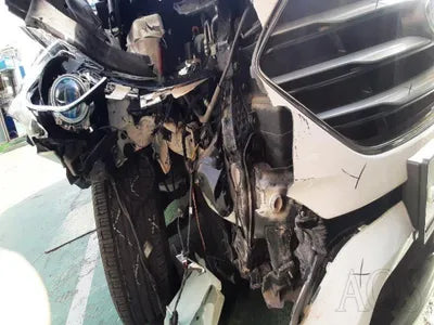 2016 Hyundai Santa FE KMHSU81UBGU666957 VIN:KMHSU81UBGU666957