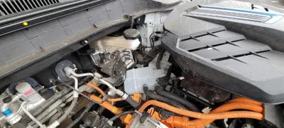 2019 Hyundai Kona KMHK381GFKU046789 VIN:KMHK381GFKU046789