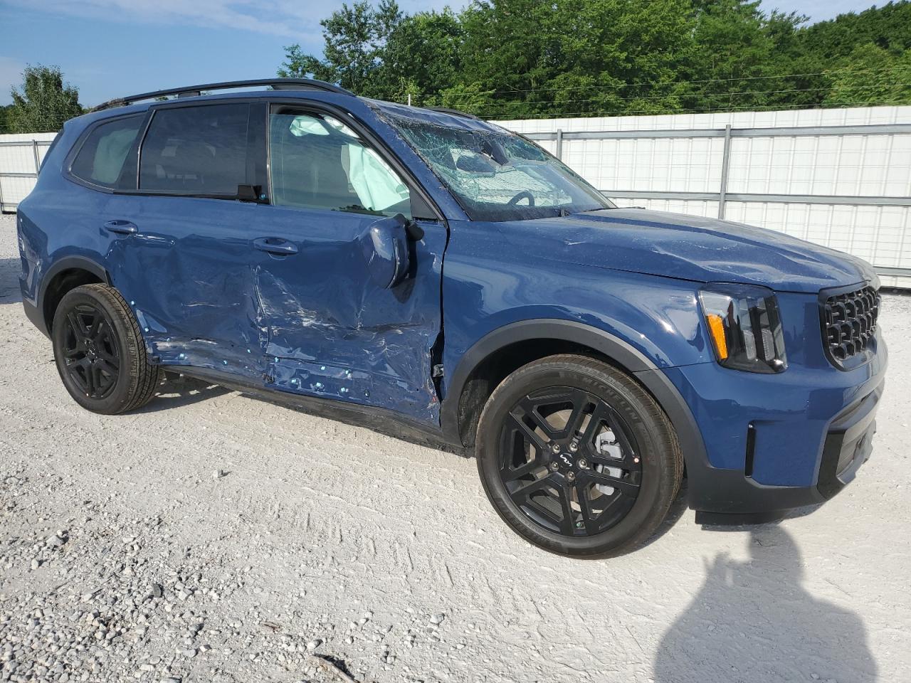 2024 KIA TELLURIDE EX VIN:5XYP3DGC2RG527526