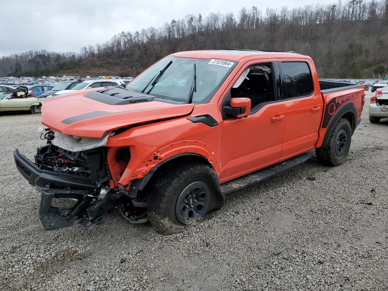 2023 FORD F150 RAPTOR VIN:1FTFW1RG1PFB19505