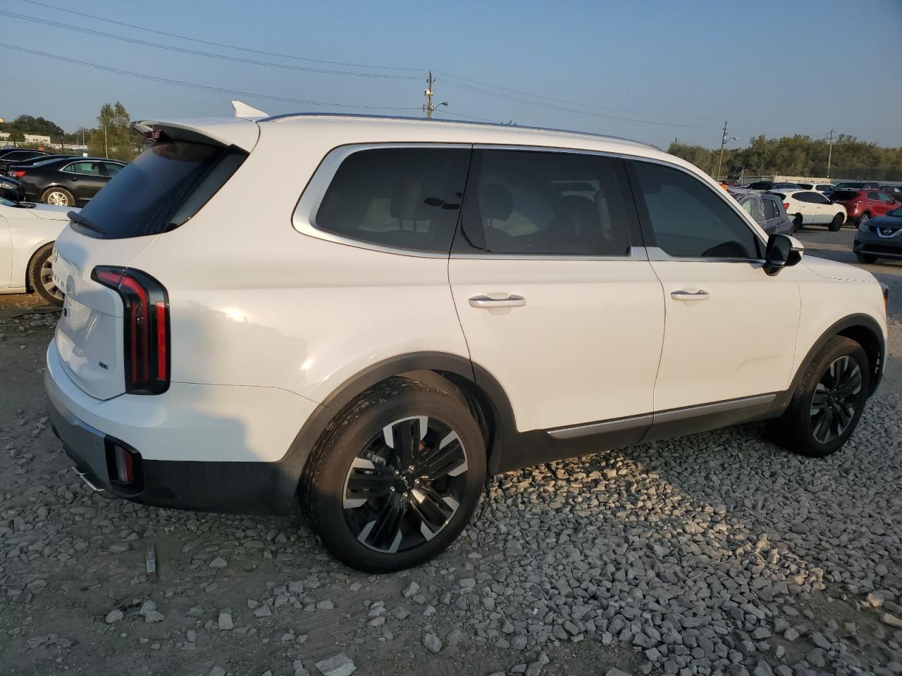 2024 KIA TELLURIDE SX VIN:5XYP5DGC4RG507868