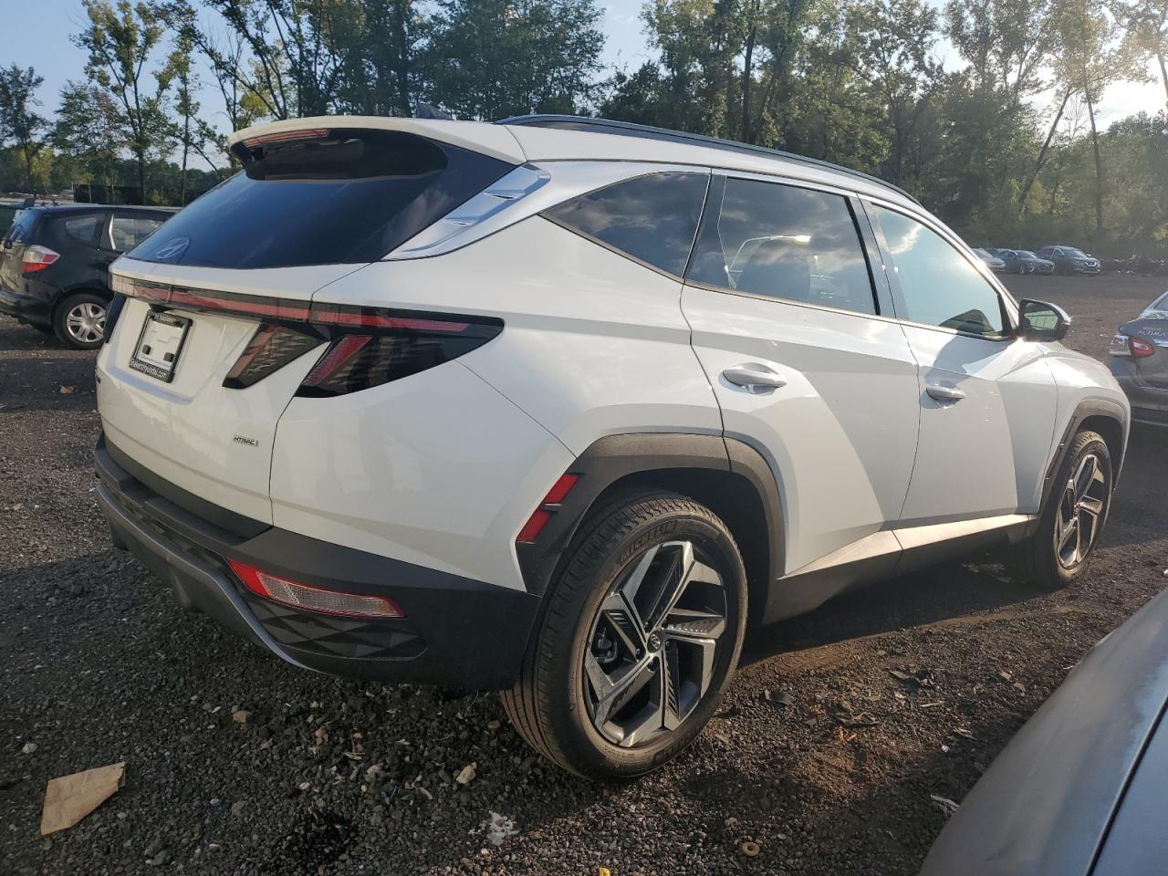 2024 HYUNDAI TUCSON LIMITED VIN:5NMJECDE2RH394028