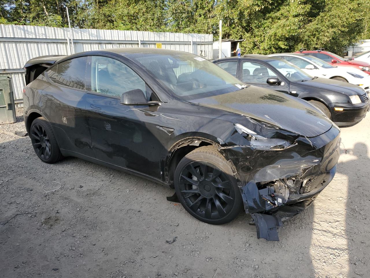 2023 TESLA MODEL Y  VIN:7SAYGDEE3PF703908