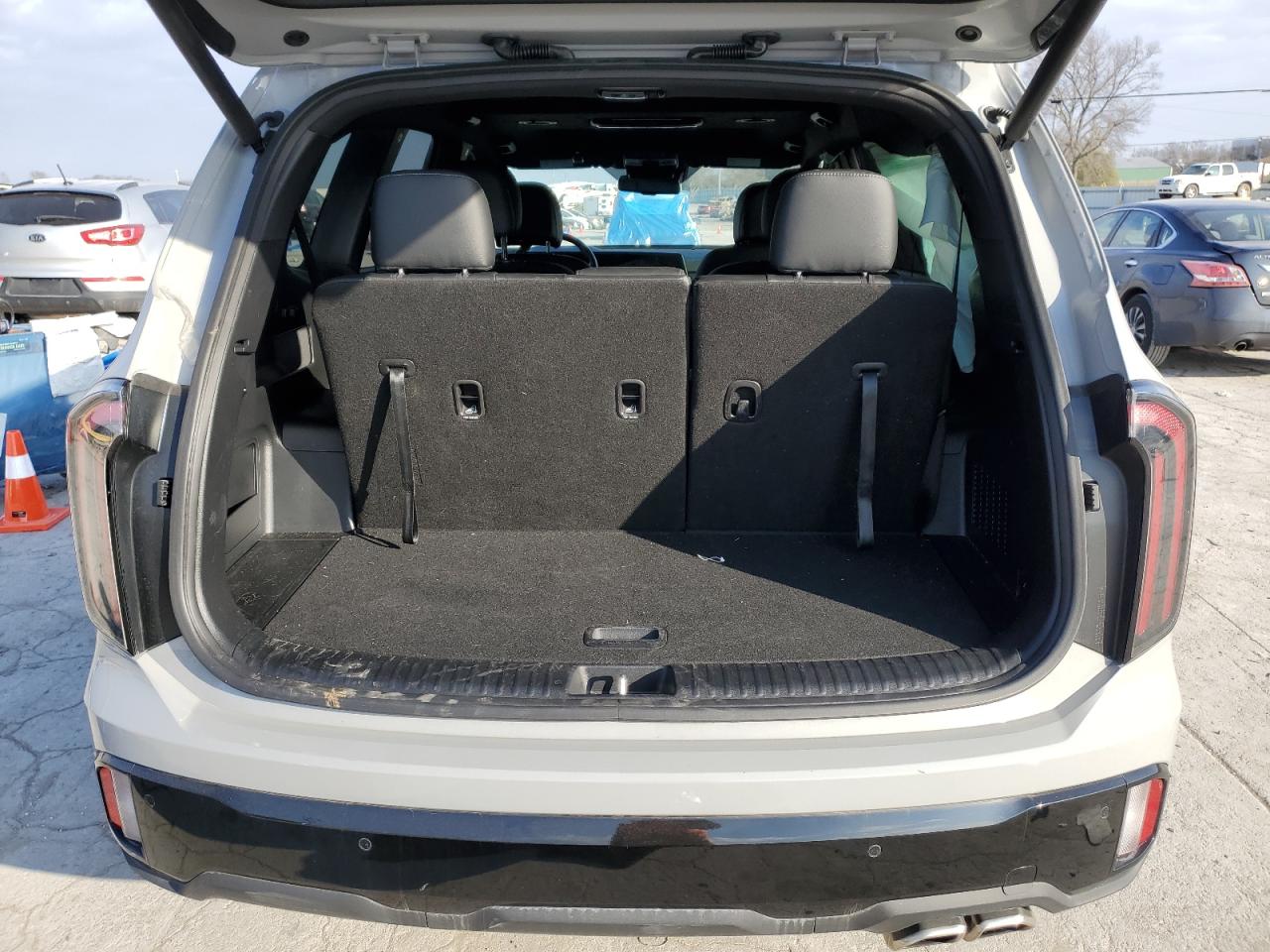 2024 KIA TELLURIDE EX VIN:5XYP3DGC5RG462137