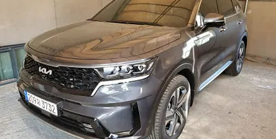 2022 Kia Sorento KNARK81GBNA109404 VIN:KNARK81GBNA109404