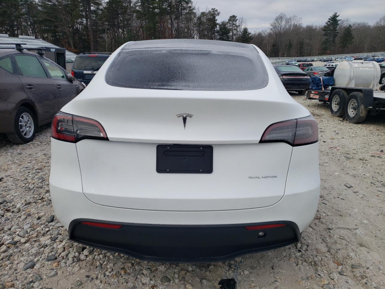 2024 TESLA MODEL Y  VIN:7SAYGDEE0RA239959