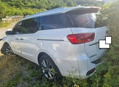 2019 Kia Carnival KNAME81ABKS521855 VIN:KNAME81ABKS521855