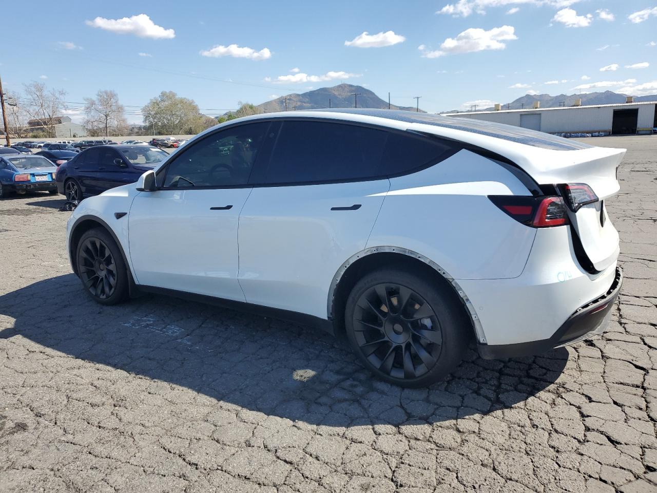 2022 TESLA MODEL Y  VIN:7SAYGAEE7NF539249
